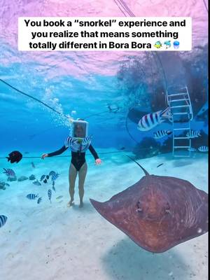 Send this to your adventure buddy and make sure to follow @megsandpat for more bucket list and unique experiences 🐠  Bora Bora is not all glam and beaches they have tons of cool stuff to do like this Aqua Safari. If you have ever wondered what being an astronaut or a 19th century diver feels like this excursion is for you. They put this dive helmet on you and then fill it with pressurized air as they lower you into the water so you can breath normally. Because the helmet is air filled its kind of floaty so you end up being lighter and able to jump around like its space. I know it looks funny but the views were amazing!  Bora Bora's water is so clear its incredible.  We booked this excirsion with @WindstarCruises and if you have never scuba dived this is a great way to see what your missing! check out that rays!!! 🐟💙 #AquaSafari @windstarcruises