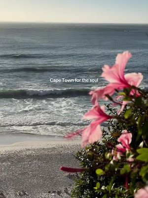 Cape Town is always a good idea 🌺🌞 don’t you think so? Planning a trip to Cape Town soon? Check out my Cape Town Travel Guide — packed with personal tips, a full itinerary (with exact location pins), 200+ spots, restaurant, cafés, hotel recs & more - link in bio 💌 Send this to someone you would love to take to Cape Town this summer 🤍 #capetown #capetowntravel #slowtravel #southafrica