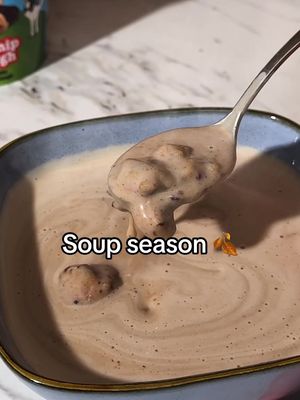 Good soup. 🥣 #benandjerrys #icecream #soupseason 