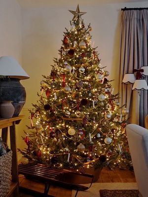 Need I say more 😂 One of the best traditions we started was for the kids to decorate their own tree every year. They have complete artistic license over it and can quite literally as it turns out) chuck anything they want on it 😅🙈 Do you let your kids decorate the tree?  #Christmas #christmastraditions #funnytiktok #family #Christmastree 