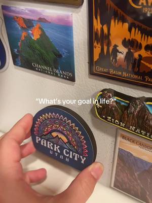 Magnets… lots and lots of magnets #nationalpark #nationalparks #Outdoors #explore #nature 