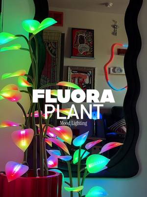 Best dopamine decor / mood lighting during 2025 is always my friends at @Fluora , it instantly upgrades any apartment / interior!  #apartmentgoals #eclectichome #interiordesign #explorepage✨ 