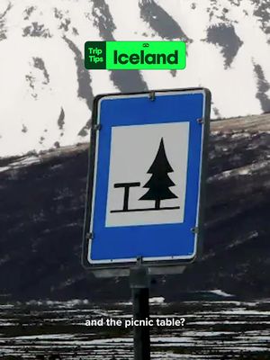 IDK about you but Iceland just jumped like 20 spots on the travel bucket list #iceland #icelandtravel #bucketlist #traveltok #tripadvisor 