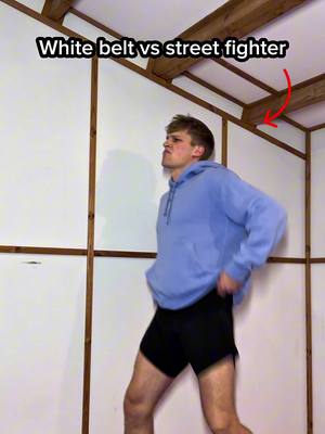 White belt vs street fighter…