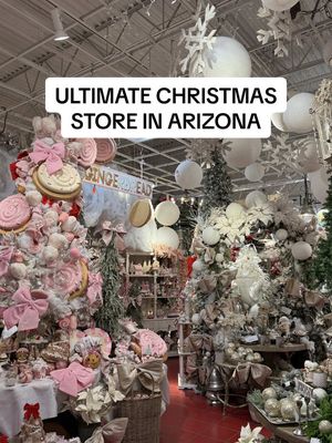 tour of the ultimate Christmas store in Gilbert. This is @Ivy & Sage Lifestyle Co. #arizona 