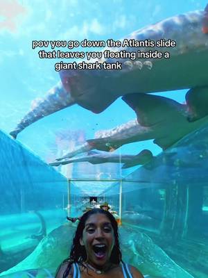 I went down a slide and floated inside a giant shark filled tank! This was one of the coolest slides I’ve ever been on and it was at Atlantis Paradise Island! 🦈🦈🦈 #nassau #bahamas #atlantis 