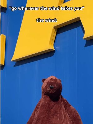 The wind is always taking us here…   -   Le vent nous mène toujours ici…