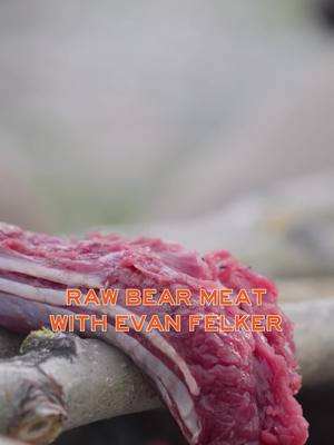 Joke around about undercooked bear meat and contracting trichinosis enough and you might just wind up regretting it. #meateater #fueledbynature #fyp #hunttok #cooktok #alaska