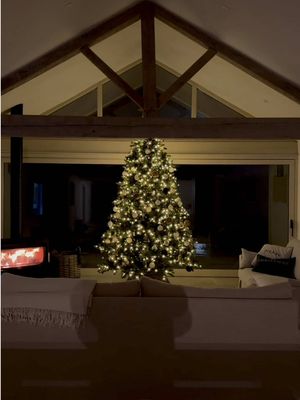 waited 2 years to put a tree up in this spot after converting the barn into our home ✨🏡 🤶🏼 #fyp #christmas #family #christmasdecor 