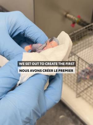We set out to build the first-ever @northernsuperlg player foosball table, a tribute to the league’s inaugural season and the incredible athletes driving women’s soccer forward in Canada! ⚽🇨🇦 #ProudSupporterOfFirsts Nous avons créé la toute première table de baby-foot de joueuses de la @northernsuperlg, en hommage à la première saison de la ligue et à ses incroyables athlètes qui font avancer le soccer féminin au Canada! ⚽🇨🇦 #FierDeSoutenirLesPremières