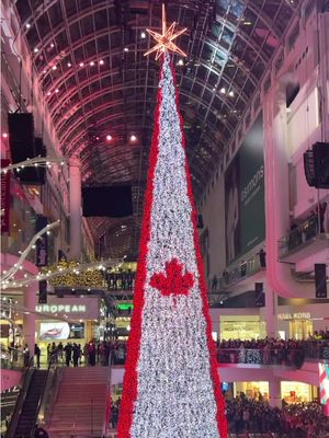 Holiday magic is in the air at CF Toronto Eaton Centre 🎄✨ 🎥 @luiz.strina  #CFTorontoEatonCentre#CFTorontoEatonCentrestmas #ChristmasTree #TreeLighting
