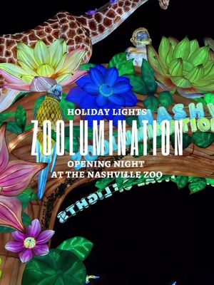 OPENING NIGHT, and the Nashville Zoo is glowing! ✨🐉 Zoolumination is BACK, featuring: ✨ Over 1,000 brand new lanterns ⛸️ Ice skating at the Smashville Ice Rink 🎄 The North Pole Village 🎅🏻 Santa appearances nightly from November 28 until December 24   Don't miss this Nashville holiday spectacle - grab your tickets now! #Nashville #MusicCity #fyp #explorepage #christmaslights 