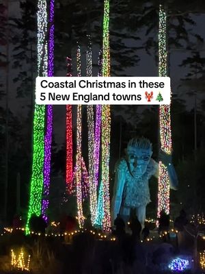 Special dates + details 🎄✨➡️ All of these towns are along the water and host incredible holiday events. If you have questions please comment and I will do my best to answer them! Boothbay Harbor, Maine: Super small town with cute shops and amazing light show at the Coastal Maine Botanical Gardens, that starts in mid November!  Kenebunkport, Maine: Their holiday event is the Christmas Prelude and it is AMAZING! December 4 - 14. I went with a friend last year and we had the best time. Stay for the whole weekend to really take it in.  Portsmouth, New Hampshire: They host a Vintage Christmas with so many events and holiday musicals and plays at the many venues in the area. Many events! Some beginning in mid-November. Candlelight Stroll on weekends, Gingerbread House contest launches November 28!  Wickford Village, Rhode Island: Another super small town ideal for a day trip. The Festival of Lights is December 4 - 7. Make a reservation for tea. Newport, Rhode Island: So many events, great shopping, the illuminated boat parade is November 28.  Stonington, Connecticut: great lobster trap tree on display from November 22 until January 4.  Happy holidays! 
