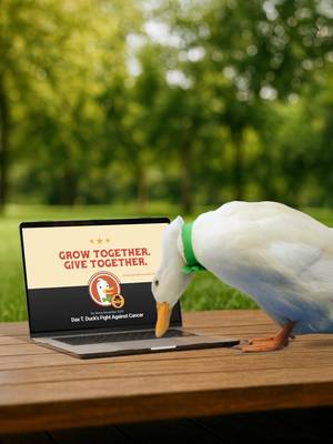 We’ve seen your comments 👀. Nice catch!    Dax the DuckDuckGo duck’s beard is no glitch — it’s growing for a good cause.  This month, DuckDuckGo is matching donations up to $10K for No Shave November.  Learn more: https://secure.qgiv.com/event/noshave2025/account/2185402
