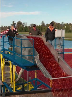 Carhartt gives thanks to the farmers who make the holidays possible - like @Amber at Russell Rezin & Son Cranberry. There’s no textbook on cranberry farming, so they rely on knowledge passed down for generations - through over a hundred years of operation. With a focus on sustainable farming, they’re working hard to continue the family legacy. See more of their stories at carhartt.com/community