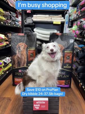 Time flies when you're busy shopping the 1 week sale! Pick up your pet's essentials and more. Shop in-store and online until Nov 19: https://www.petvalu.ca/collection/weekly-featured-sale