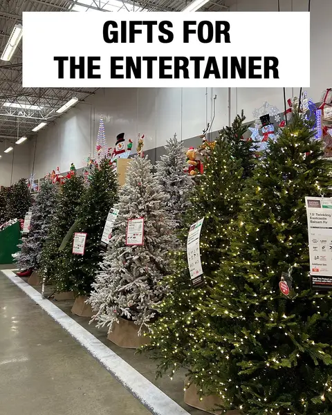 They bring the party, you bring the gift 🎁 Explore more ideas for the entertainer at the link in our bio. #giftguide #christmasgiftideas #homedepotfinds 