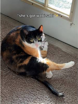 she's a special one ✨  #WabiSabi #FYP #PetsOfTikTok #Funny #Trending 
