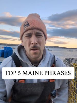 what did I friggin miss?!?  #maine #mainelife #mainething #newengland 