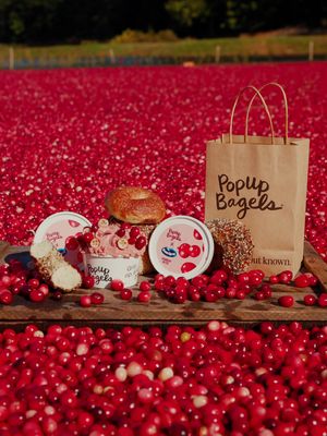 from bog to butter...@Ocean Spray Inc. CRANBERRY BUTTER drops at all PopUp Bagels locations THURSDAY 11/20!  preorder this 2-week schmear now on popupbagels.com... #popupbagels #bagelbopscontest #gripripanddip #nyc  #cranberrysauce 