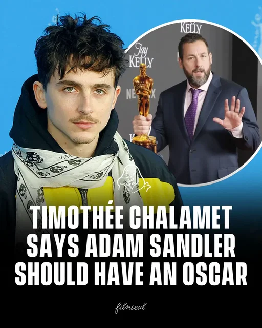 Timothée Chalamet praised Adam Sandler’s talent, saying he deserves an Oscar, especially for his work in Uncut Gems.  #FilmSeal #film #movie #cinema 