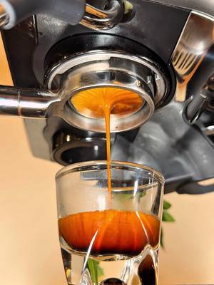 Honey 🍯 #alfy_coffee #espresso #fypシ゚viral #coffee #briva 