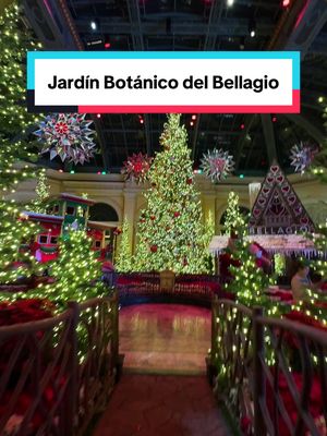Descubre la magia navideña en el @Bellagio Las Vegas —¡el espectáculo es gratuito y te espera hasta el 3 de enero! Ven y vive el encanto en #LasVegas. 🎄 #VisitaLasVegas #ViajesTikTok