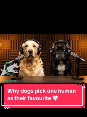 Every dog has their favourite human ❤️