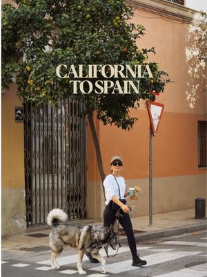 How to get your dog from United States to Spain 🐺 1. Secure the health certificate  2. Cross country to catch a flight  3. Fly @K9 JETS  4. Vacation in the UK so your health certificate expires 💀 5. Find an amazing at home vet to update your certificate with a short notice, thank you Vicky at The Pet Travel Vet 6. Pet taxi from UK to Paris, Mira and Tony at Pet Moves Abroad made this seamless!  7. Paris to Barcelona via train 