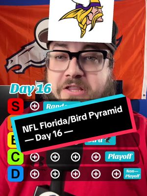 NFL Florida/Bird Pyramid: Day 16 #acshear #nflpyramid #nflfilter #nflpyramid #sports 