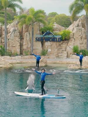 One promise. One connection. One future. Dive into ONE, an all-new Dolphin Presentation coming this December to Sea World. A story of humans, dolphins, and our shared hope for the ocean. Get ready to connect, reflect and be inspired.
