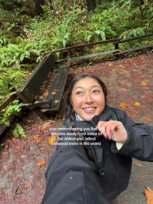 reminder for you because i forget too! #muirwoods #redwoods 