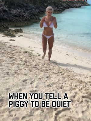 Careful what you say- it might come back and bite you in the rump! 🐷 #quietpiggy #pig #pigfail #animalfails #funny #fail #failarmy