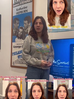 Wow I’ve always wondered what the simpsons was about! 