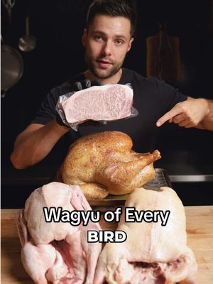I Cooked the Wagyu of Every Bird #turkey 