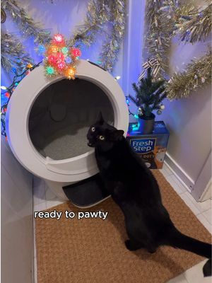 odor control so strong even holiday chaos can’t compete 🙌 #FreshStep #HolidaySeason #CatsOfTikTok #FYP 