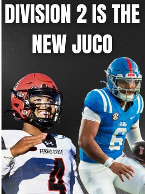 Division 2 football is the new JUCO 🤯🔥 #CollegeFootball #transferportal #d2football #d1football #juco 