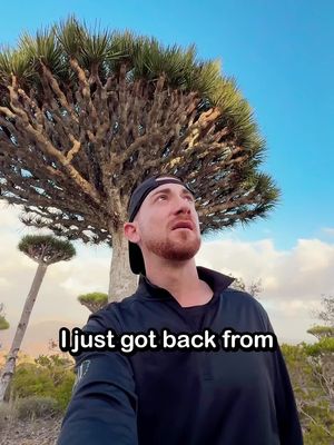 3 crazy facts about SOCOTRA #fyp #travel #socotra #goats #yemen 