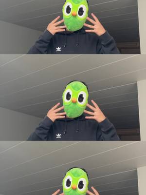 glitched back into 2020 #duolingo #junkoposes #glitch 