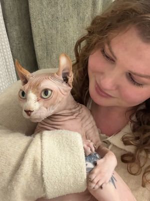 🛁🧼 Let’s clean my Sphynx #hairlesscat #sphynx #sphynxcare #elfsphynx #cat