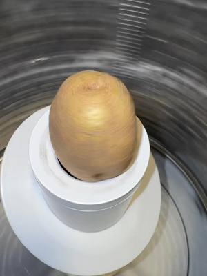 #potato #foryoupage #potatoes #fyp 