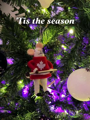 It’s not just the holidays on the way, PWHL is back!