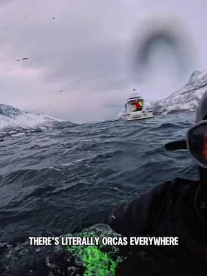 A DREAM COME TRUE 🥹🐋🐼❄️ Swimming with orcas has been at the top of my bucket list for as long as I can remember and I finally got to check it off here in the arctic circle of Norway! ⚡️🇳🇴 Nothing could have prepared me for this! It’s a feeling like no other… Something I know I will be chasing for the rest of my life! ✨💙 If you’re interested in experiencing this for yourself in 2026, DM me the word “ORCA” 🐼