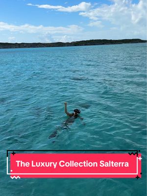 eco tourism at its finest 🐠🪸☀️ @The Luxury Collection thank you so much for always hosting me at the most beautiful and more importantly, interesting hotels with their individual stories around the world 📍🌎