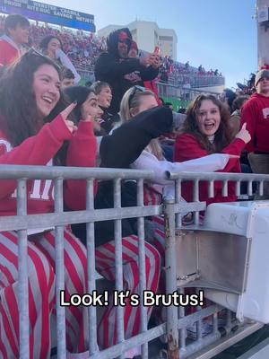 @Brutus Buckeye is ✨POPULAR✨  #wicked #GoBucks #buckeyes 