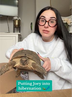 Joey’s on annual leave, nr 🐢💤