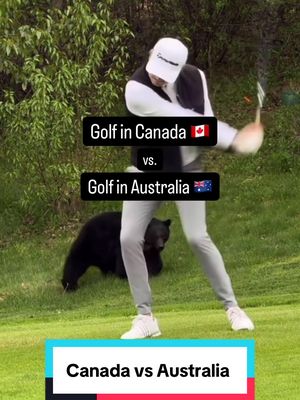 Canada VS Aus. One will kill yah 🐻 One will cuddle yah 🐨 #golf 