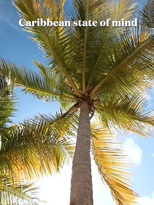 Sun, sea, and serious savings. 🌊🌴 Don't miss our Blue Friday savings, including $250 off, up to 50% off fares, and free 3rd & 4th guests on select sailings. 💙