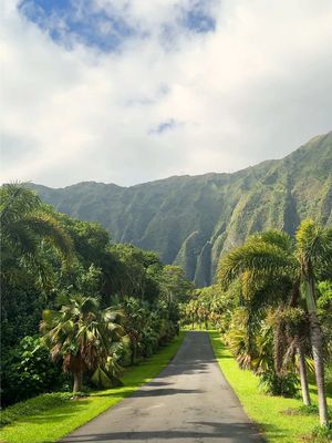 Living out my dreams in Hawaii 🌴🌺 #travelcreator #hawaiitiktok #botanicalgarden #bucketlisttravel #livingmydream 