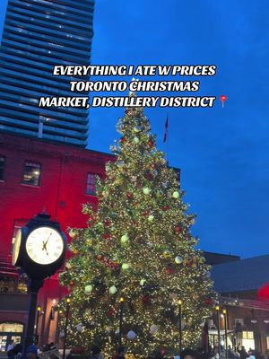 Toronto Christmas Market is back in the Distillery District for 2025. Great eats and good vibes #torontochristmasmarket #christmas #christmasmarket2025 #distillerydistrict #fyp 